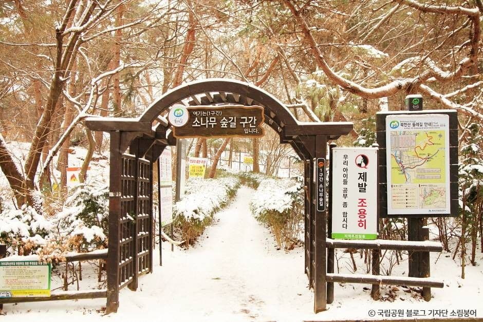 [북한산 둘레길 1구간] 소나무숲길 대표 이미지