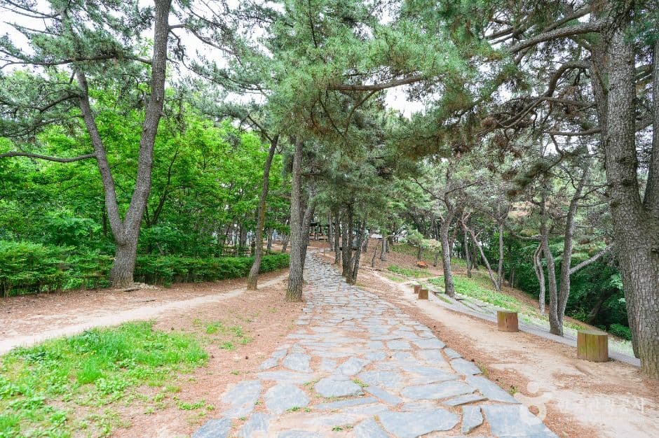 장무공원 대표 이미지