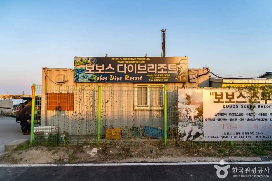 보보스다이브리조트 대표 이미지