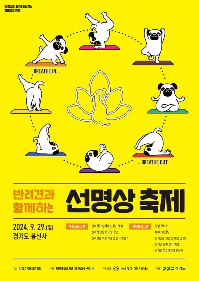 반려견과 함께하는 선명상 축제 대표 이미지