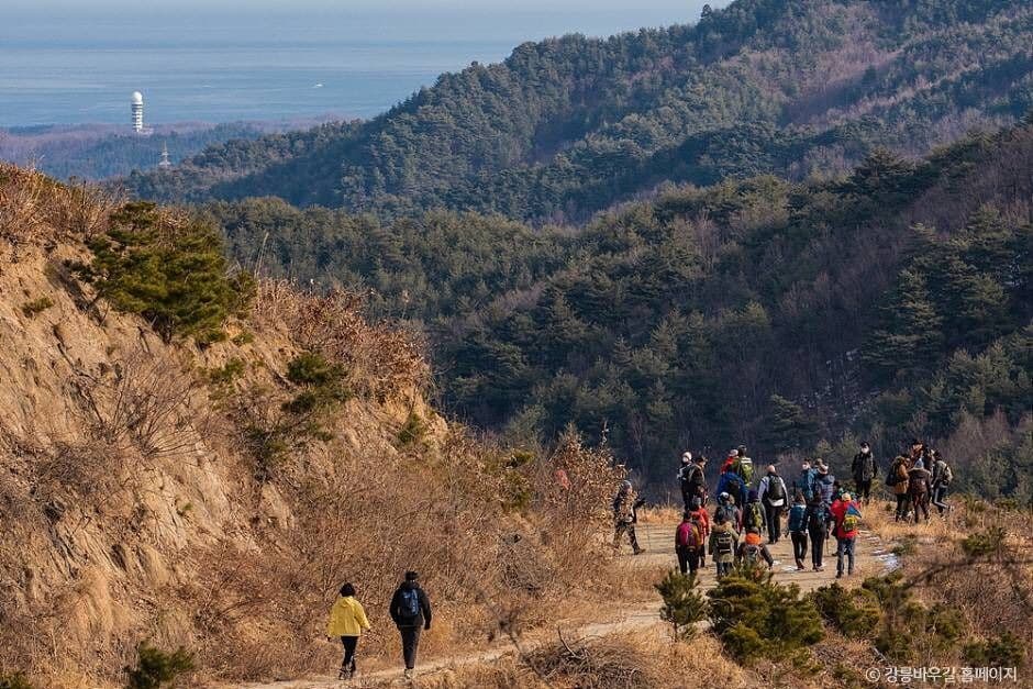 [강릉 바우길 4구간] 사천 둑방길 대표 이미지
