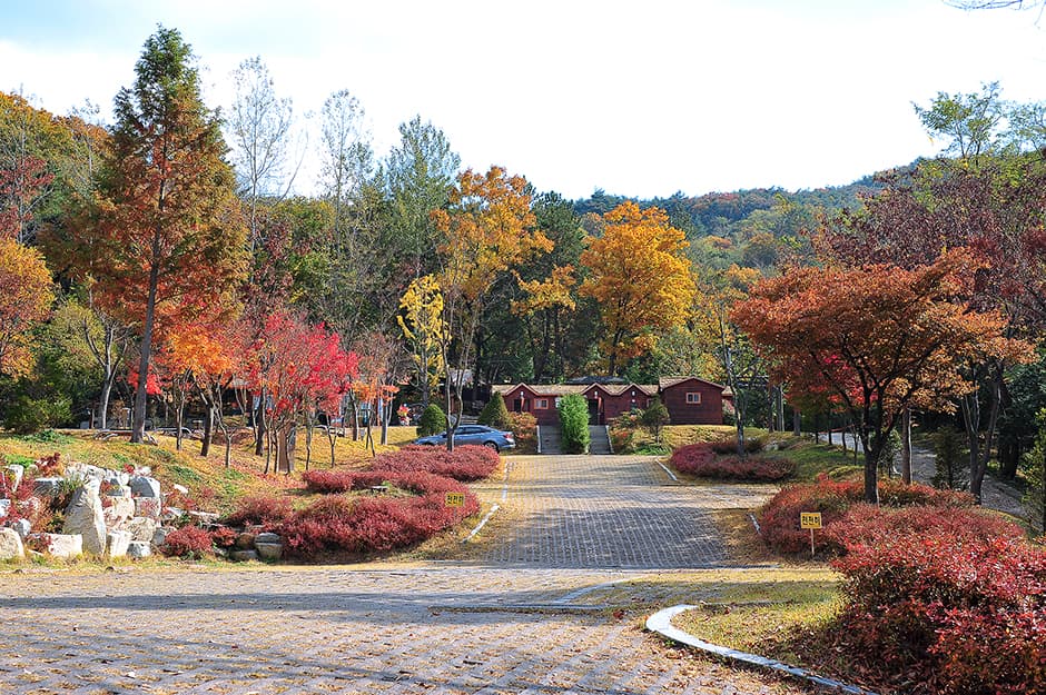 입화산참살이숲제2오토캠핑장 대표 이미지