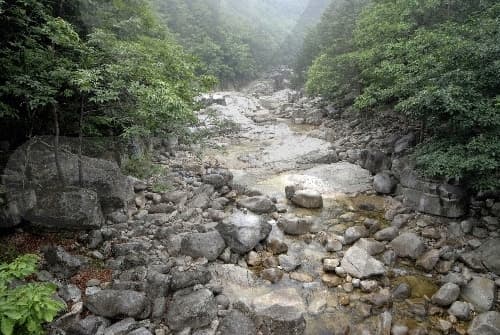 산, 계곡, 바다를 아우르는 여행 대표 이미지