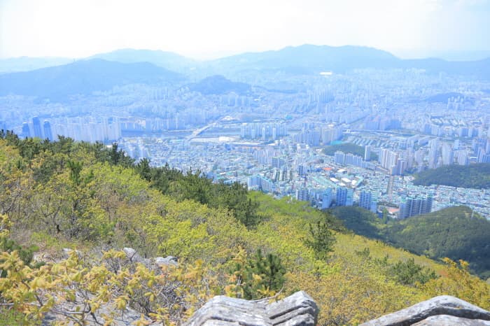 장산 (부산 국가지질공원) 대표 이미지