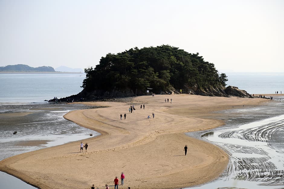당너머해수욕장 대표 이미지