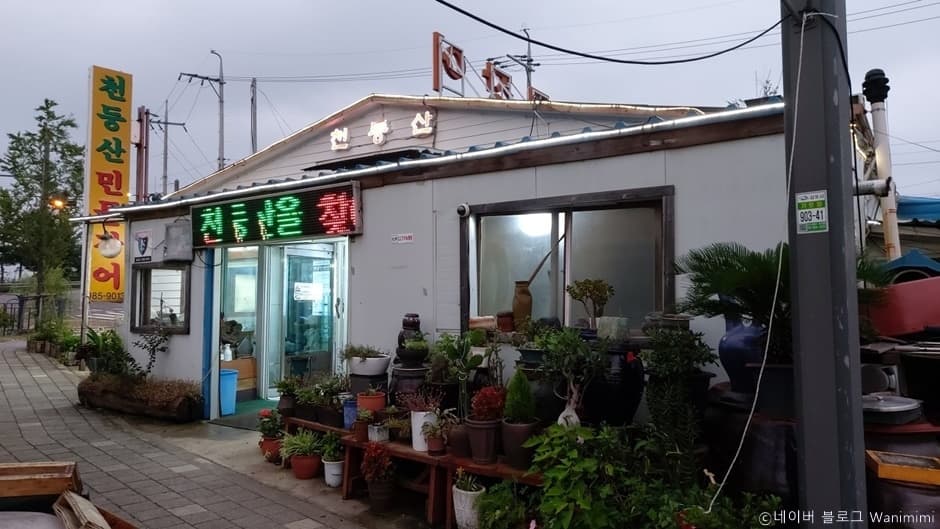 천둥산민물장어 대표 이미지
