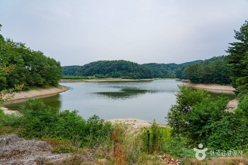 경포저수지 대표 이미지