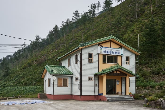삼척 가시오가피마을 대표 이미지