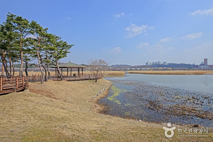 화랑유원지 대표 이미지