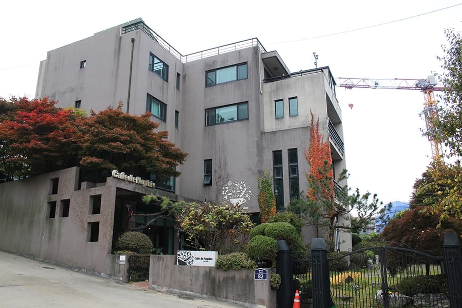 카페드노피 대표 이미지