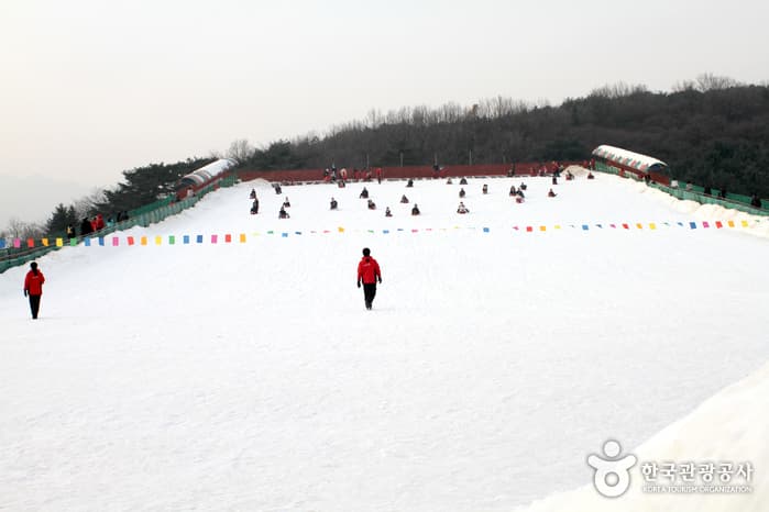 서울랜드 눈썰매장 대표 이미지