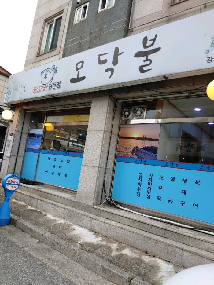 모닥불 대표 이미지