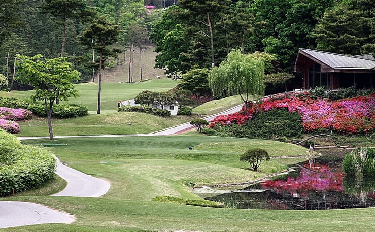 화성상록GC 대표 이미지