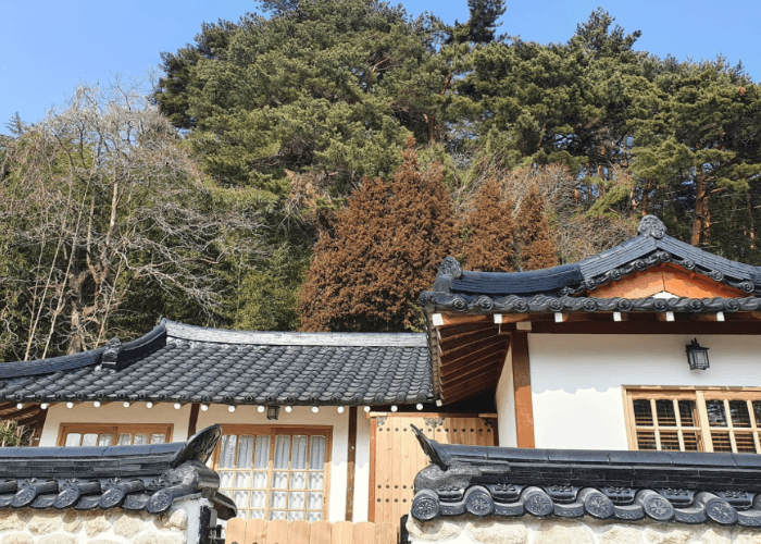 컴페니언 바이 경포[한국관광 품질인증/Korea Quality] 대표 이미지