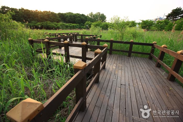 도심에서 즐기는 오붓한 자연과 책의 대화 대표 이미지