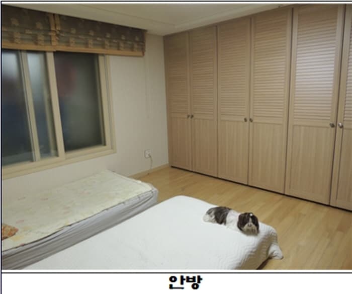 헬레나 홈스테이 대표 이미지