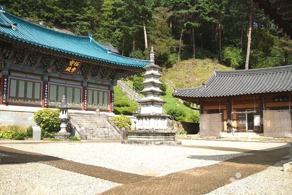 천은사(삼척) 대표 이미지