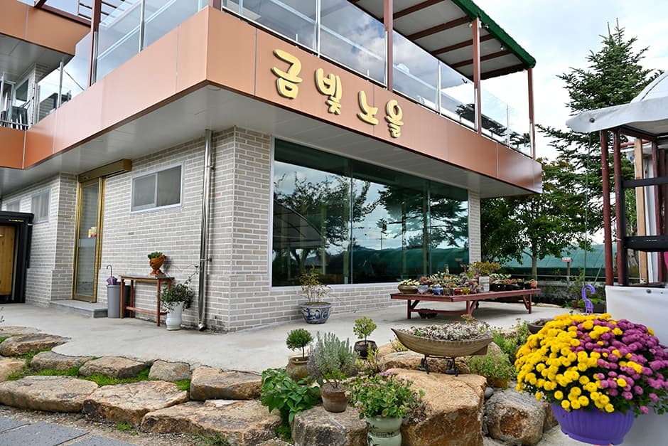 금빛노을 대표 이미지