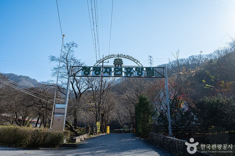 청평자연휴양림 대표 이미지