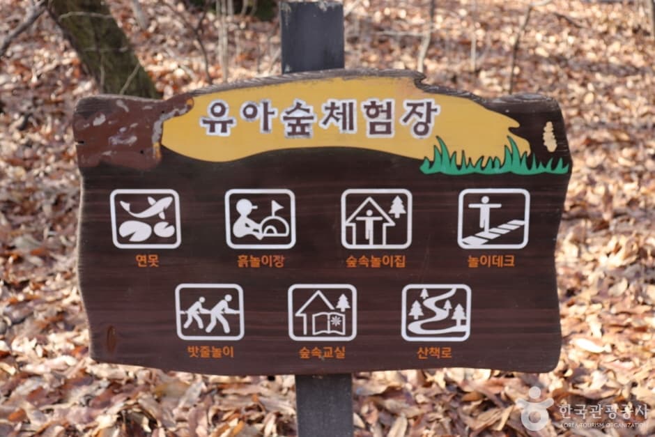 오동근린공원 유아숲체험장 대표 이미지