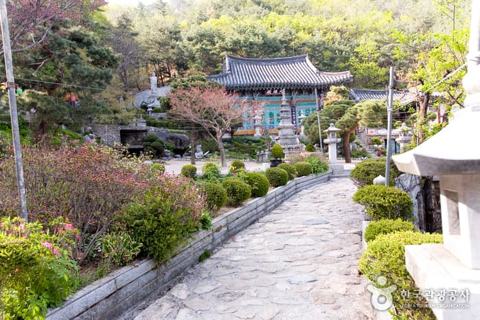 도안사 대표 이미지