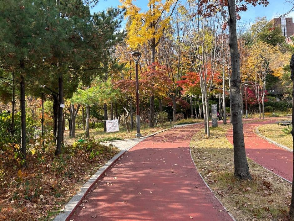 손기정체육공원 대표 이미지