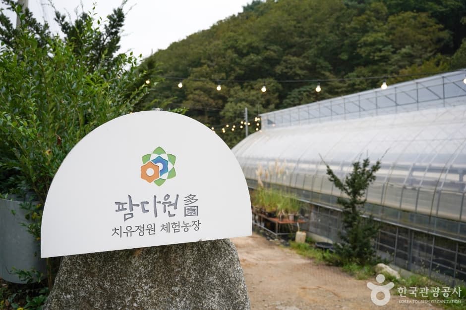팜다원 대표 이미지