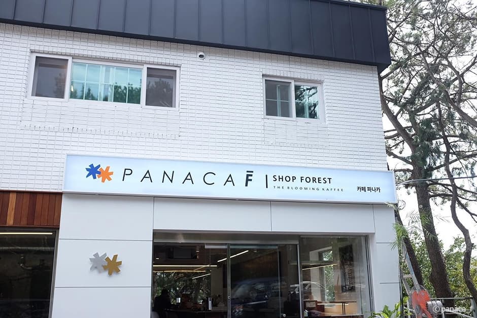 파나카F 대표 이미지