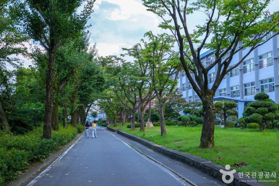 수피아여자중고등학교 대표 이미지