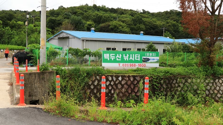 백두산낚시터 대표 이미지