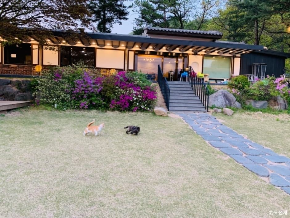 도선재 대표 이미지