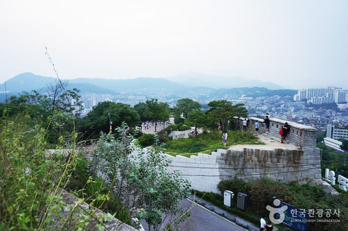 서울의 아름다운 밤을 바라보다. 대표 이미지