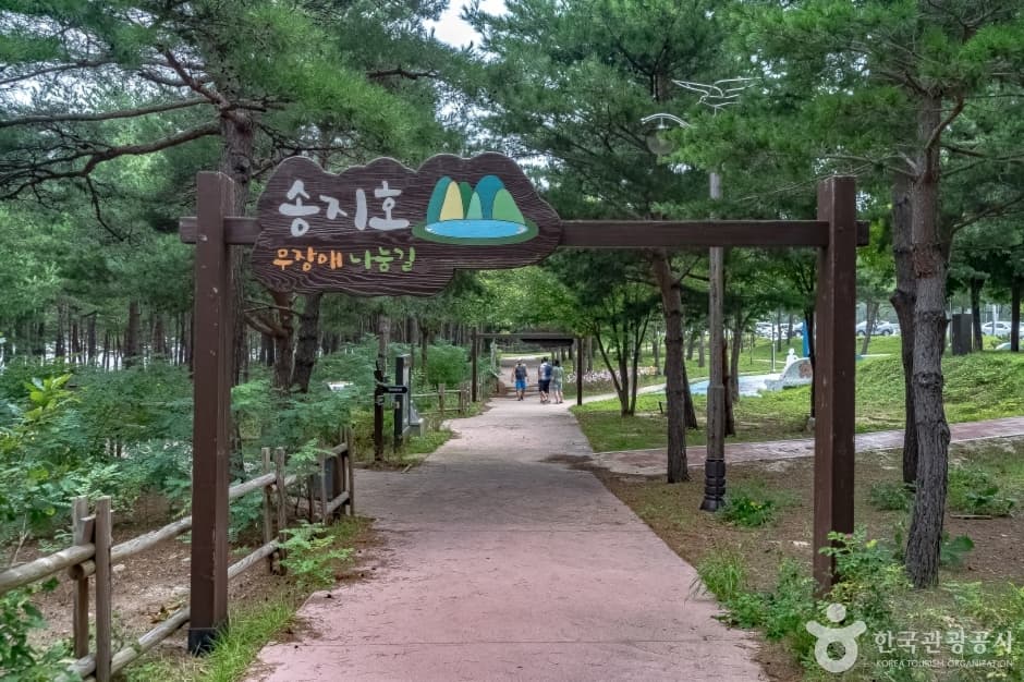 송지호둘레길 대표 이미지