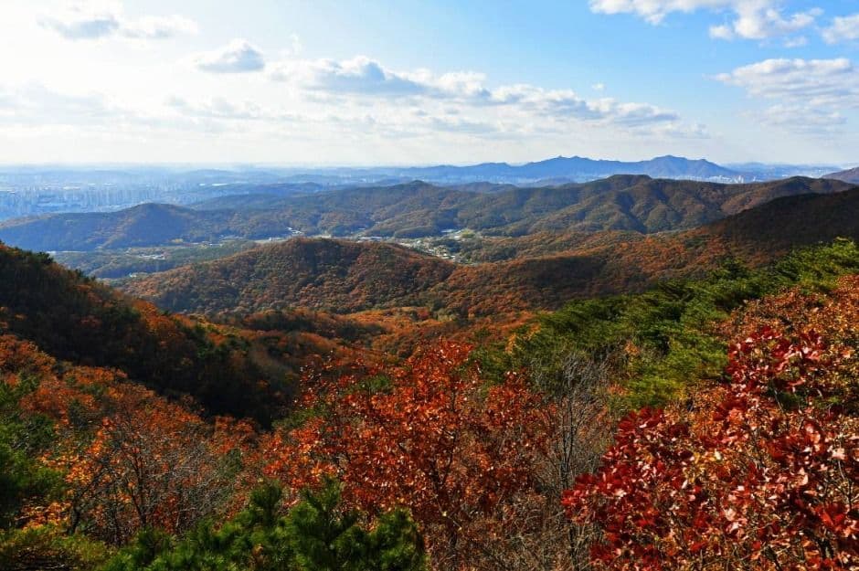 광교산 대표 이미지
