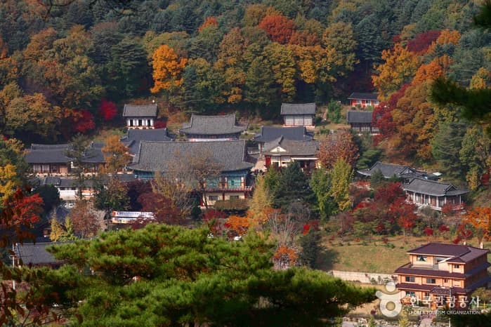 봉선사(경기) 대표 이미지