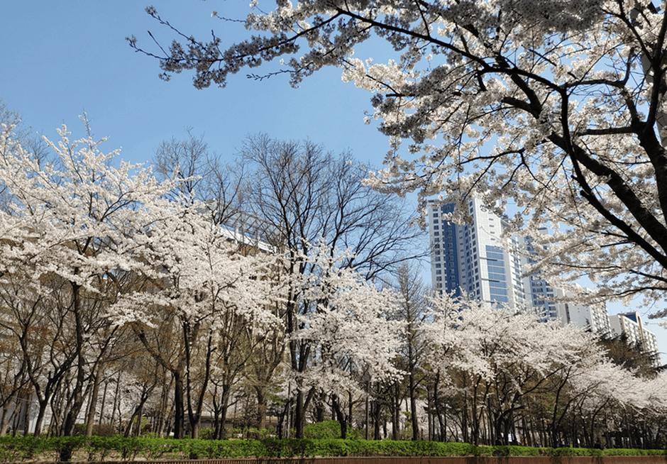 거리공원 대표 이미지