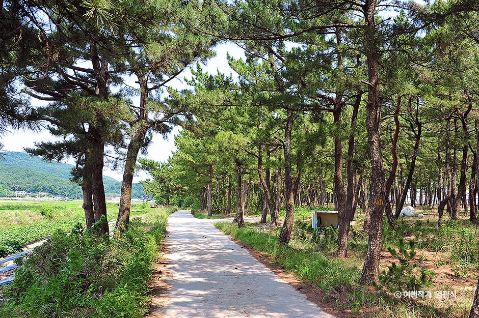 [해파랑길] 48코스 대표 이미지