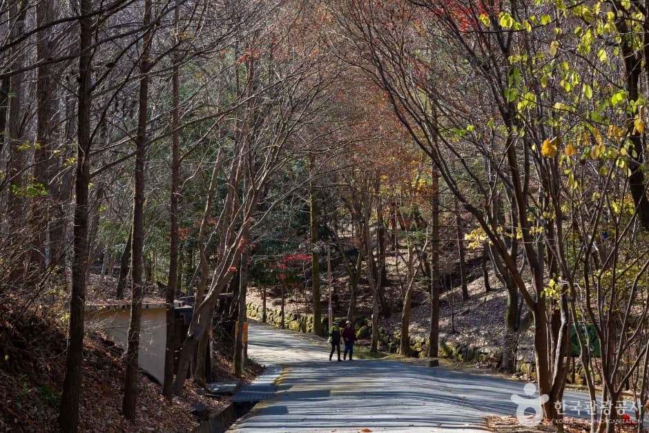 만인산 자연휴양림 대표 이미지