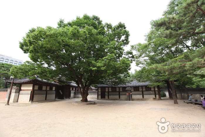 동대문 주변에서 만나는 역사의 현장 대표 이미지