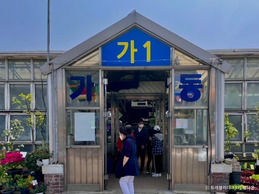 양재꽃시장 대표 이미지