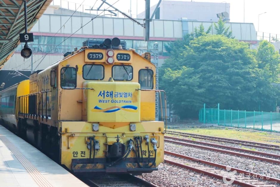 서해금빛열차 대표 이미지