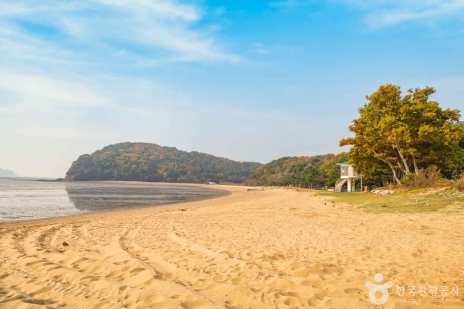 장봉도 한들해수욕장 대표 이미지