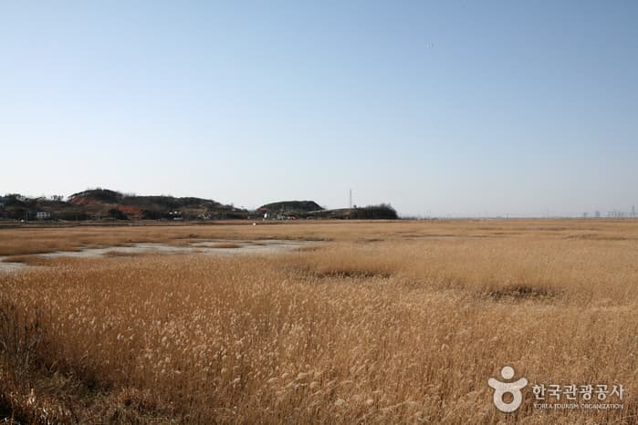 안산에서 즐기는 시원스런 전망과 즐거운 체험 대표 이미지