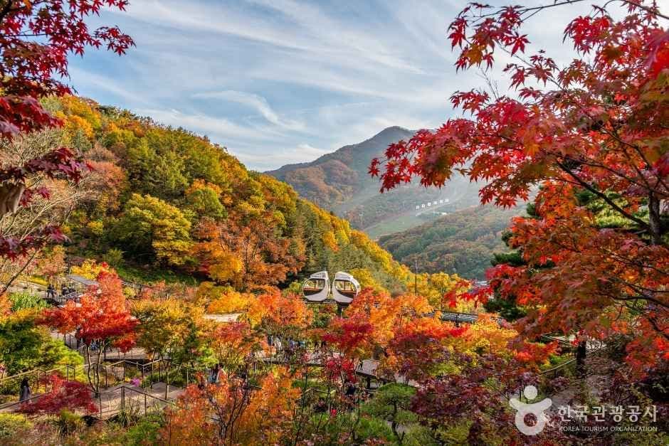 화담숲 대표 이미지