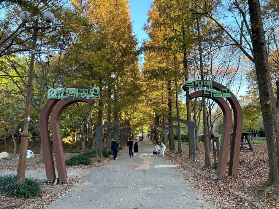 인천대공원 치유숲길 대표 이미지