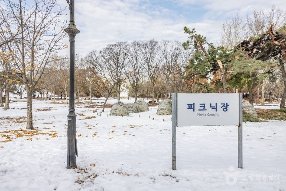 올림픽공원피크닉장 대표 이미지