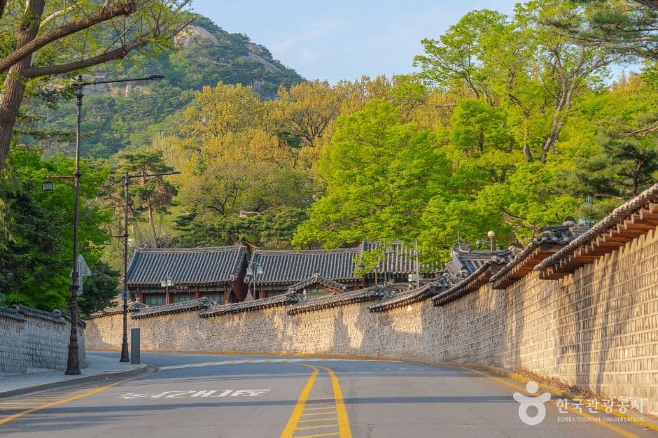 청와대 앞길 대표 이미지