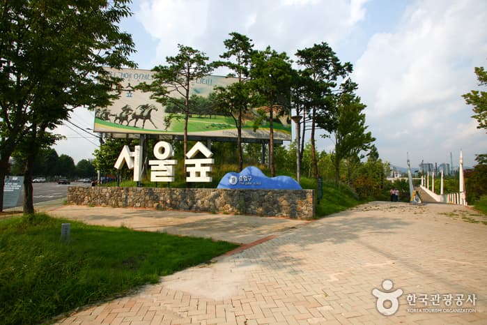 서울의 하이드파크와 전통시장 대표 이미지