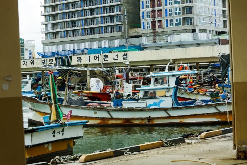 사천진항 대표 이미지
