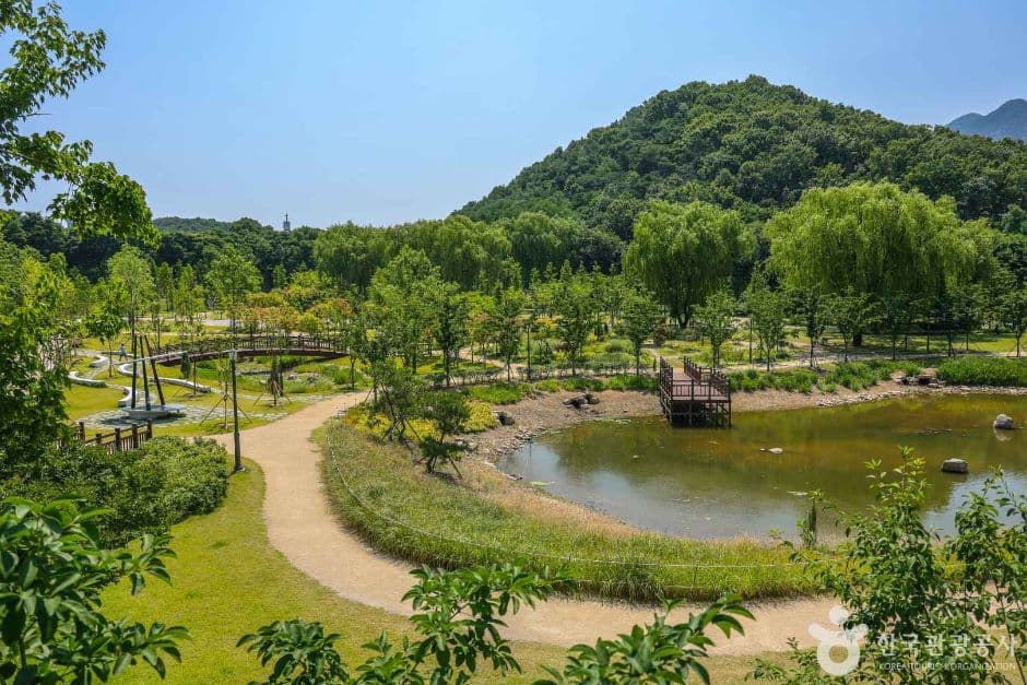 대구 대표 도시숲 대표 이미지